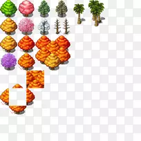 水果橙S.A.-空若网 水果橙S.A.-空若网