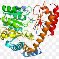 剪贴画有机体线身首饰-空若网 剪贴画有机体线身首饰-空若网