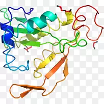 �������߲�Ʒ���л�����-������