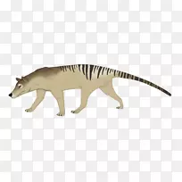 ���Ȯ-������˹�����Ƕ���-������