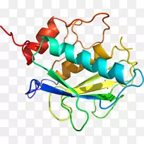 剪贴画线产品点有机体线-空若网 剪贴画线产品点有机体线-空若网