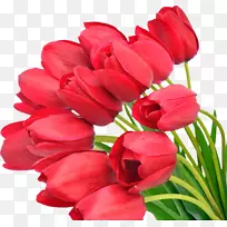 png图片郁金香花束图像.郁金香-空若网 png图片郁金香花束图像.郁金香-空若网