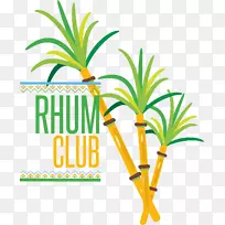 ��ķ�Ʋ�����llais���������-��˹�����ŰͲ����Ϳ�����-������