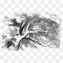 ��è����˿���ɾ��廭�е�ð��-������