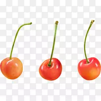 樱桃超级食物辣椒-樱桃PNG图像-空若网 樱桃超级食物辣椒-樱桃PNG图像-空若网