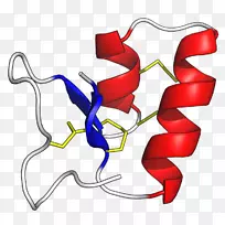 �򵰰װ�����ֲ����-ֲ��-������