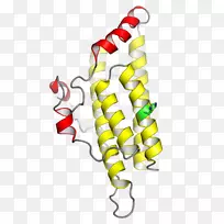 ×é°±ËáÁ××ªÒÆÓò×é°±Ëἤøµ°°×½á¹¹Óò°±»ùËá-¿ÕÈôÍø ×é°±ËáÁ××ªÒÆÓò×é°±Ëἤøµ°°×½á¹¹Óò°±»ùËá-¿ÕÈôÍø