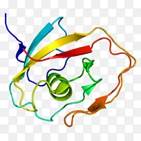 剪贴画线产品点有机体线-空若网 剪贴画线产品点有机体线-空若网