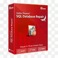 星凤凰窗口数据恢复恒星凤凰照片恢复星凤凰Mac数据恢复SQL-空若网 星凤凰窗口数据恢复恒星凤凰照片恢复星凤凰Mac数据恢复SQL-空若网