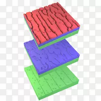 ����������ѧ����������ɢ-������