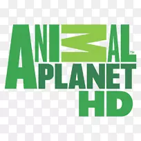 LOGO动物星球电视频道-空若网 LOGO动物星球电视频道-空若网
