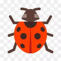 图形瓢虫甲虫免费插图-空若网 图形瓢虫甲虫免费插图-空若网