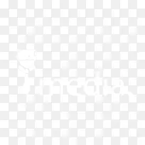 ��߲�Ʒ��Ʋ�������Ӫ��-������