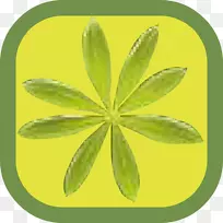 移动应用程序google播放android应用程序包应用软件-android-空若网 移动应用程序google播放android应用程序包应用软件-android-空若网