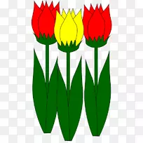 郁金香剪贴画布卢姆png图片图像.郁金香-空若网 郁金香剪贴画布卢姆png图片图像.郁金香-空若网