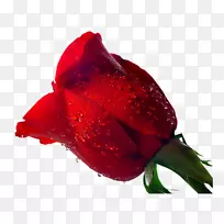 pngͼƬÖÐÐÄͼƬ2017Äê°ÂµÏR8-¿ÕÈôÍø pngͼƬÖÐÐÄͼƬ2017Äê°ÂµÏR8-¿ÕÈôÍø