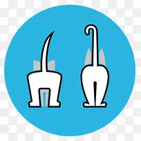 ���ǿˡ�����³��-������