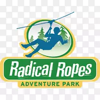 �̱������ϵ��-������