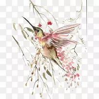 蜂鸟飞行水彩画.水彩画鸟飞-空若网 蜂鸟飞行水彩画.水彩画鸟飞-空若网