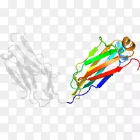 剪贴画插画线点有机体线-空若网 剪贴画插画线点有机体线-空若网