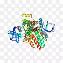 ���������л����Ʒ����.��ת����-������