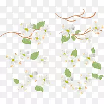 花卉设计花卉图叶-空若网 花卉设计花卉图叶-空若网