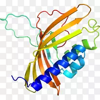 剪贴画有机体线身首饰-空若网 剪贴画有机体线身首饰-空若网