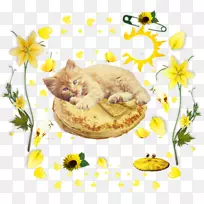 中央博客胡须食物烛台-空若网 中央博客胡须食物烛台-空若网