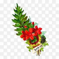 切花花束花园玫瑰-鲜花-空若网 切花花束花园玫瑰-鲜花-空若网