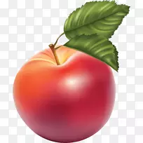 pngͼƬ��������ͼ��ƻ��.xchng-Apple-������