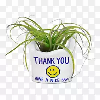 侧栏植物产品字体-空若网 侧栏植物产品字体-空若网