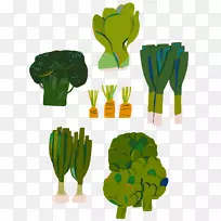 �廭�߲�ʳƷ��������-�߲�-������