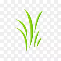 Ҷֲ�ﾥϵ��.�������µ�Ҫ��-������