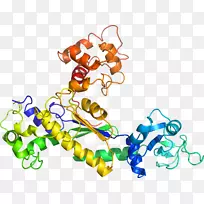剪贴画有机体线身首饰-空若网 剪贴画有机体线身首饰-空若网