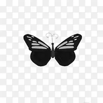 昆虫刷足蝴蝶王蝴蝶剪贴画.昆虫-空若网 昆虫刷足蝴蝶王蝴蝶剪贴画.昆虫-空若网