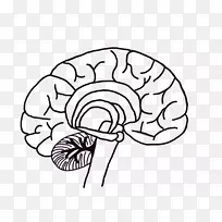 ������Ԫ�񾭿�ѧ-������