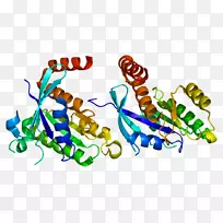 G蛋白基因rap2a宝石-空若网 G蛋白基因rap2a宝石-空若网