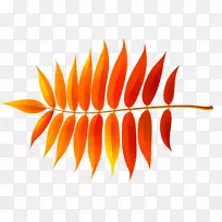 ��ɫ�ߡ�-����-������