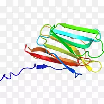 剪贴画线点产品设计有机体线-空若网 剪贴画线点产品设计有机体线-空若网