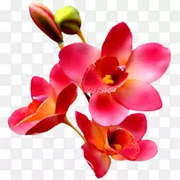 GIF�����ֽͼƬ��������-����-������