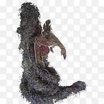 艺人树周-空若网 艺人树周-空若网