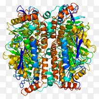 剪贴画线身饰-空若网 剪贴画线身饰-空若网