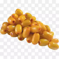 ������ȡ��ɳ����-ɳ��PNG-������