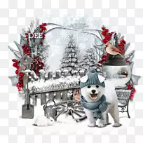 ʥ��װ��Ʒʥ���ն����-������