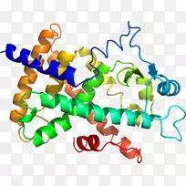 分子生物学蛋白质氨基酸剪贴画-空若网 分子生物学蛋白质氨基酸剪贴画-空若网