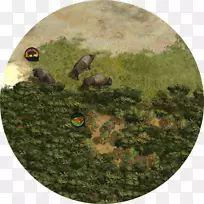 动物-空若网 动物-空若网