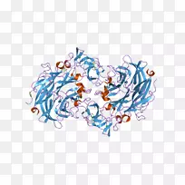 插画艺术线点有机体线-空若网 插画艺术线点有机体线-空若网