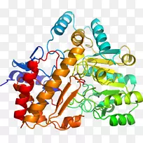 剪贴画有机体线身首饰-谷氨酸-5-半醛-空若网 剪贴画有机体线身首饰-谷氨酸-5-半醛-空若网