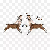 驯鹿马野生动物驯鹿-空若网 驯鹿马野生动物驯鹿-空若网