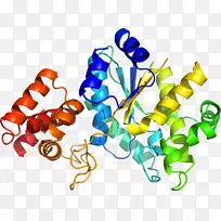剪贴画系列有机体首饰-NCA-空若网 剪贴画系列有机体首饰-NCA-空若网
